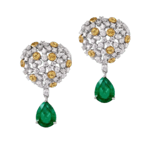 JW-243-1-1-removebg-preview